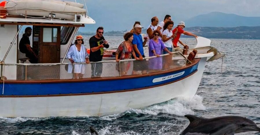 Preveza: Dolphin Watching Cruise with Lunch and Drinks - What to bring for a comfortable five hours