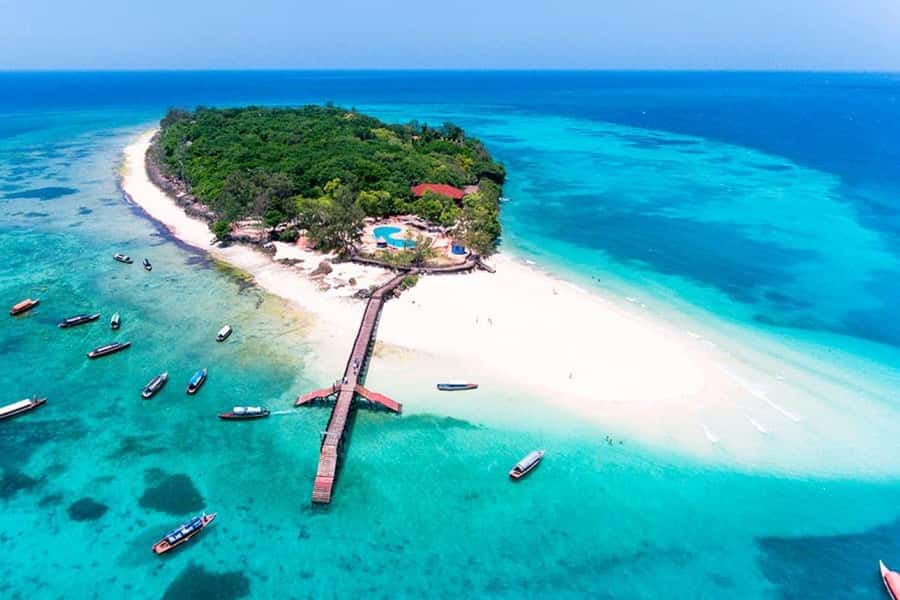 Prison Island, Lunch Break Experience, Mnemba Dolphin Tour - Key points to know before booking