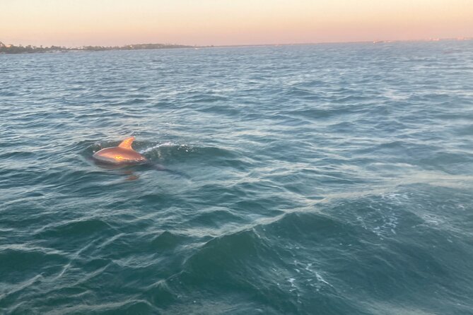 Private 2-Hour Dolphin and Sightseeing Tour - Cruising St. Andrews Bay toward Shell Island