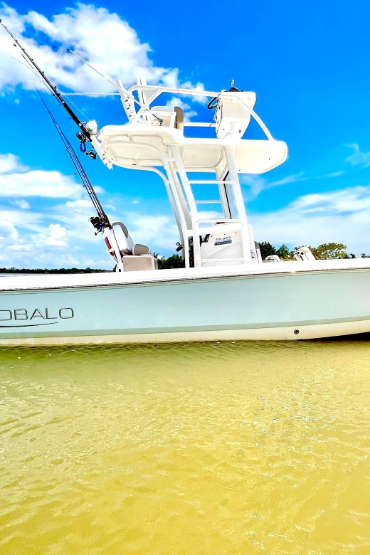 Private 2 Hour Dolphin & Eco Tour Marco Island, FL - The 10,000 Islands from water level