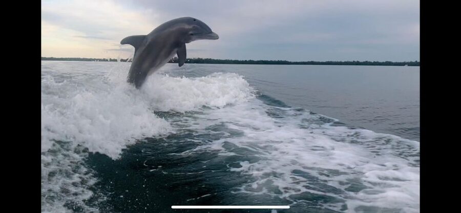 Private 2 Hour Dolphin & Eco Tour Marco Island, FL - Who will enjoy this boat trip most