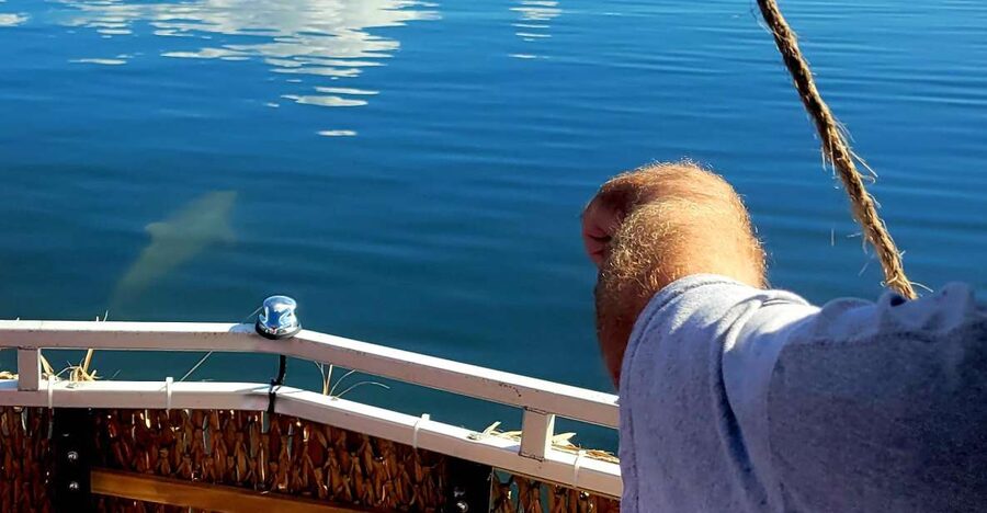 Private 2 hour Dolphin Sightseeing tour- Melbourne - Watching for dolphins, manatees, and rays