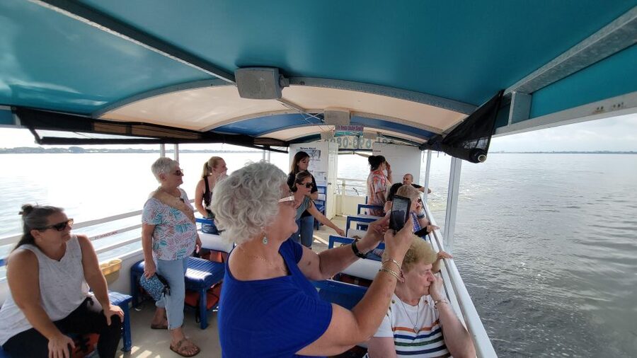 Private 2 hour Dolphin Sightseeing tour- Melbourne - Who will enjoy this tour most