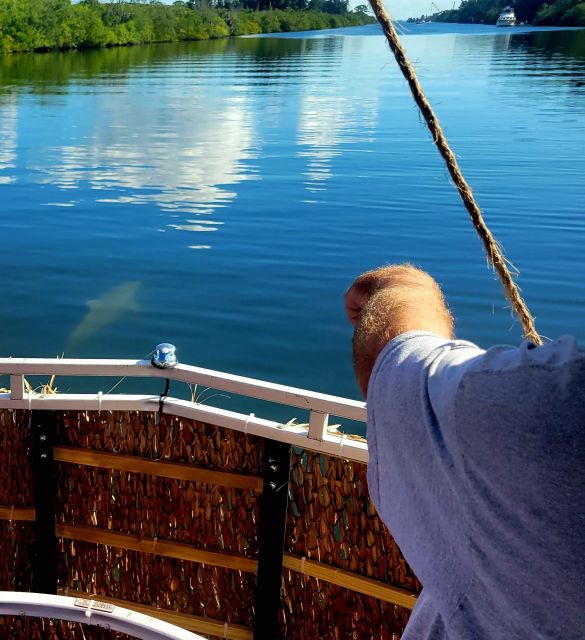 Private 2 hour Dolphin Sightseeing tour- Melbourne - The Indian River Lagoon is the main attraction