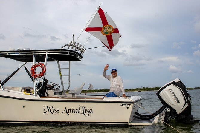 Private 2-Hour Dolphin Watching Cruise in St. Petersburg, FL - What makes the dolphins worth seeking