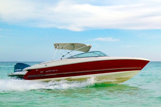 PRIVATE! | 4-hour Speed Boat Trip | Swim With Dolphins, Snorkeling & Island - The boat, food, drinks, and guide service