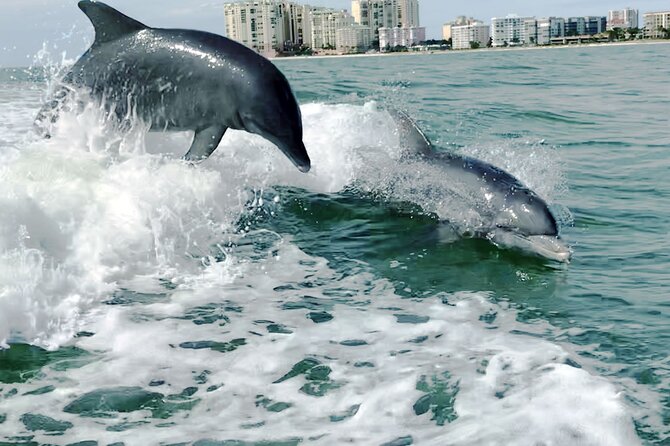 Private Best of Marco Island Dolphin Tour - Why Goodland makes a practical starting point