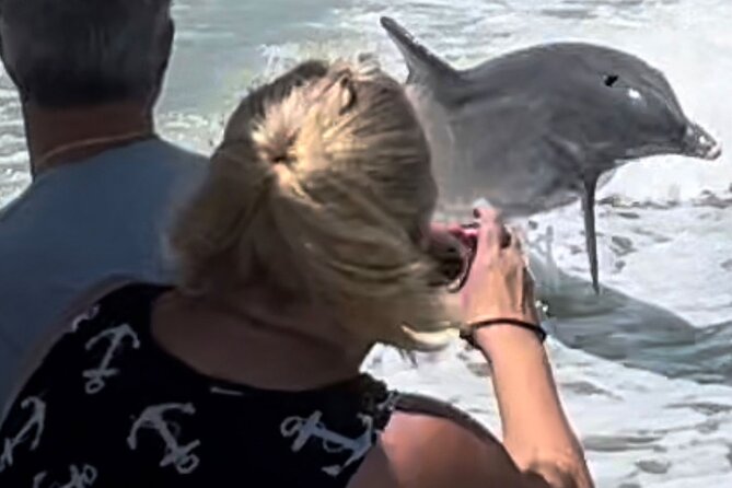 Private Best of Marco Island Dolphin Tour - Should you book the Marco Island dolphin tour?