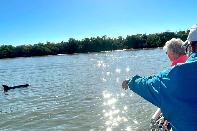 Private Best of Marco Island Dolphin Tour - The Ten Thousand Islands wildlife run