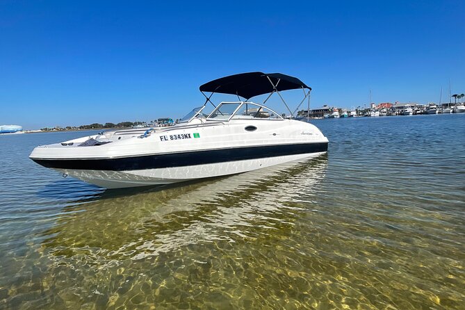 Private Boat and Dolphin Watching in Florida - Key points to know before booking