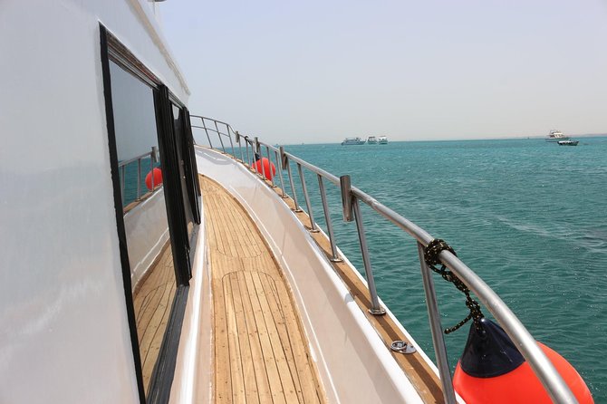 Private Boat Full Day Swimming With Dolphins Trip - Hurghada - What $125 per person really buys you