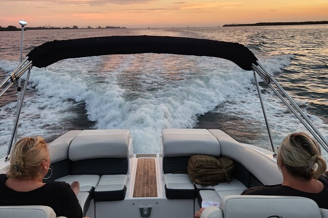 Private Boat: Island Cruise and Dolphins - Coffee Pot Bayou brings birds into the picture
