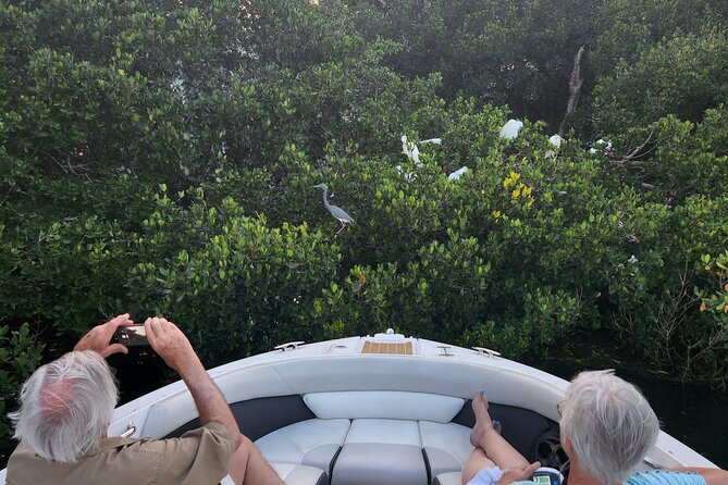 Private Boat: Island Cruise and Dolphins - Who will enjoy this boat trip most?