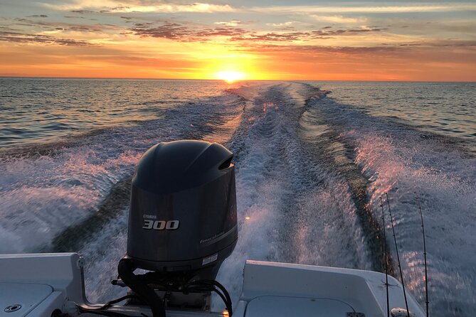 Private boat offering dolphin watching, island excursions and nature tours - What This Private St. Pete Boat Trip Is Really Like