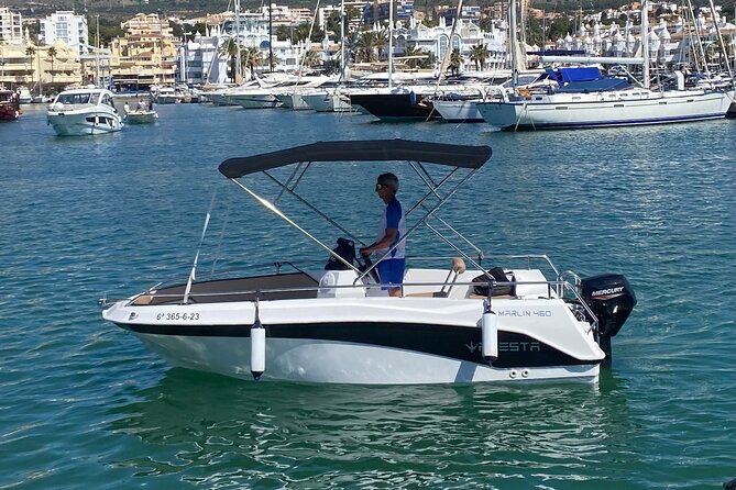 Private boat rental without title dolphin watching - Key points before you book