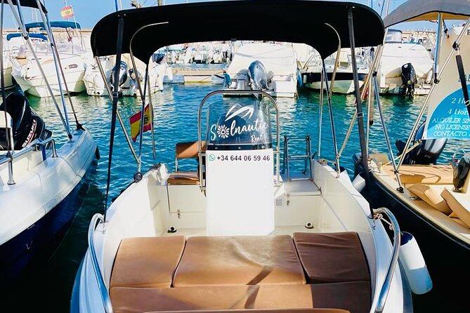 Private boat rental without title dolphin watching - Watching for dolphins and marine life