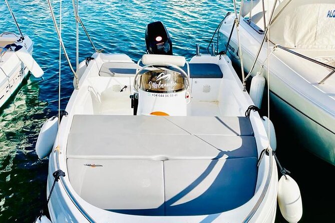 Private boat rental without title dolphin watching - Comfort, shade, and safety on the water