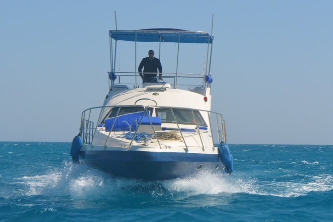 Private Boat to Dolphin House Full day Snorkeling Sea Trip Max 10 Pax - Hurghada - Is $100 a Fair Price?