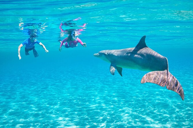 Private Boat to Dolphin House Full day Snorkeling Sea Trip Max 10 Pax - Hurghada - Should You Book the Dolphin House Trip?