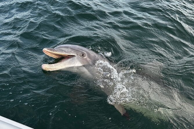 Private Boat Tour Dolphins Sunsets Shell Island and Snorkeling - Sunset timing and the two-hour clock