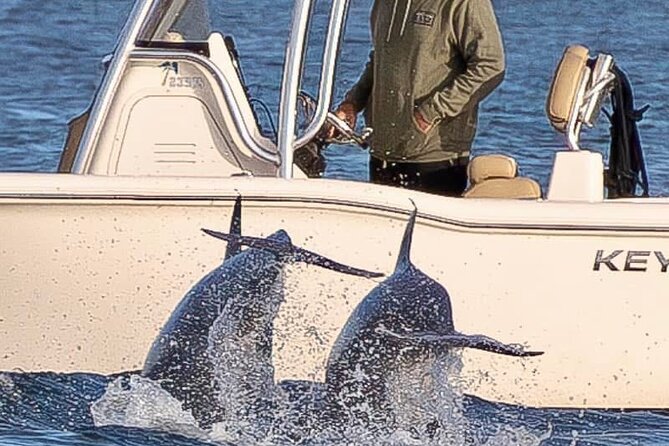 Private Boat Tour Dolphins Sunsets Shell Island and Snorkeling - Who should book this boat tour?