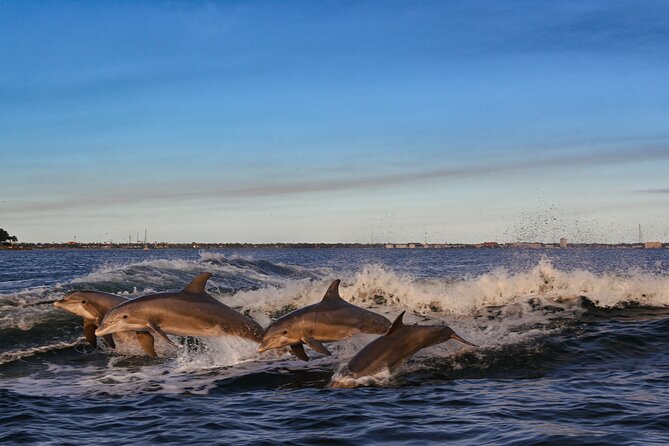 Private Boat Tour Dolphins Sunsets Shell Island and Snorkeling - What your $350 buys