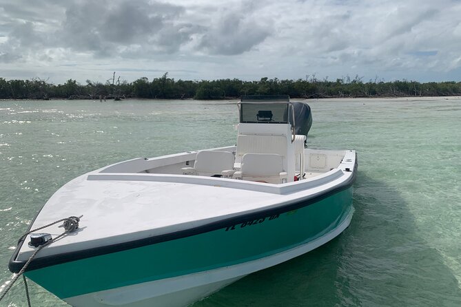 Private Boat Tour to Sand Bar Snorkel Dolphins and Sunset - What Captain Vaughn Adds