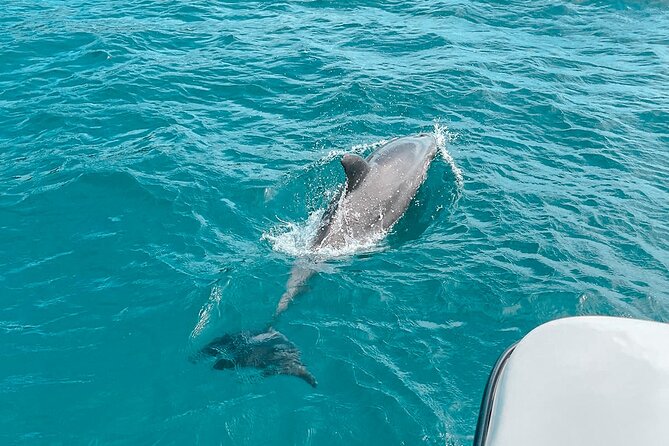Private Boat Tour with Dolphin Spotting and Snorkelling from Phuket - A private day from Phuket, built around three islands