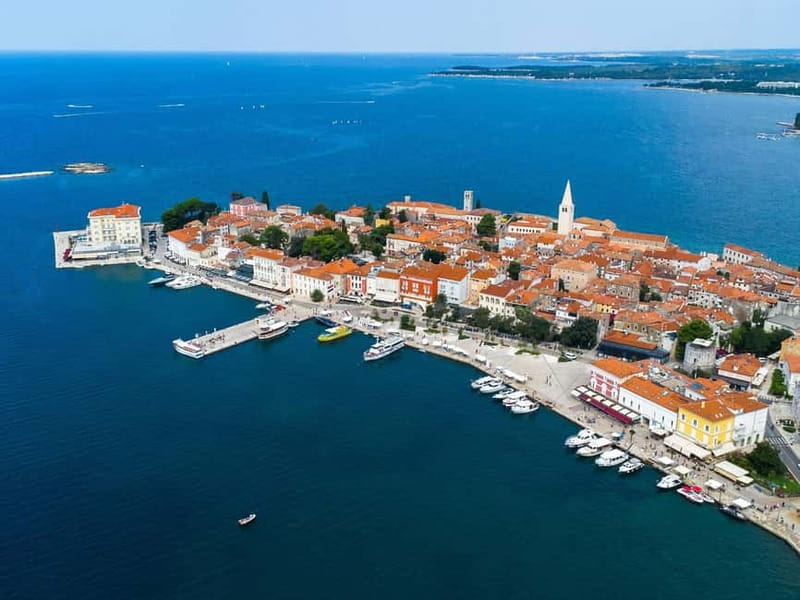 Private boat trips in Porec: dolphin watching, panoramic views - Searching for dolphins near Poreč