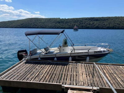 Private boat trips in Porec: dolphin watching, panoramic views