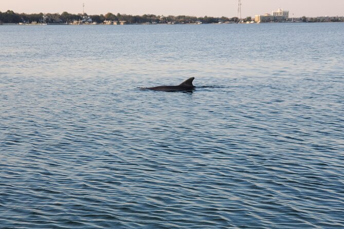 Private Catamaran Sunset Cruise with Dolphin watching - Waiting for the Florida Sunset