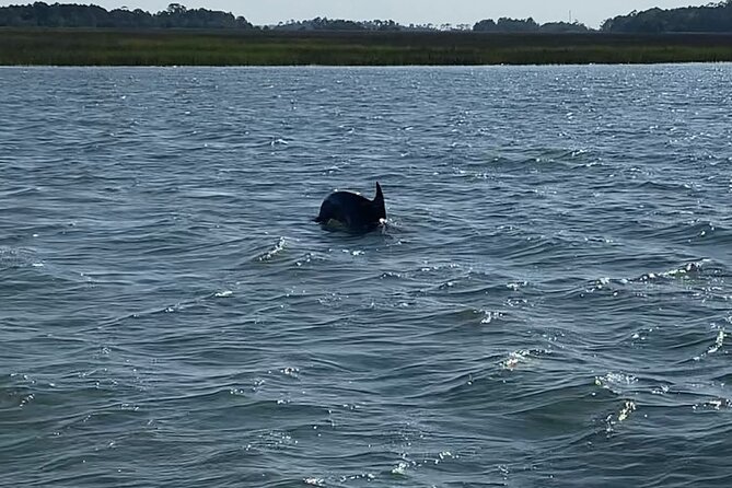 Private Charleston Dolphin and Eco Boat Tour - Comfortable water does not mean warm weather
