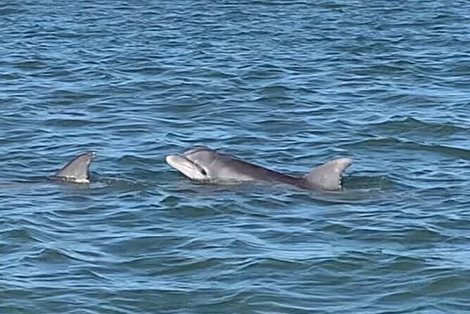 Private Charleston Sunset & Dolphin Cruise - Captain PD and the Boat Experience