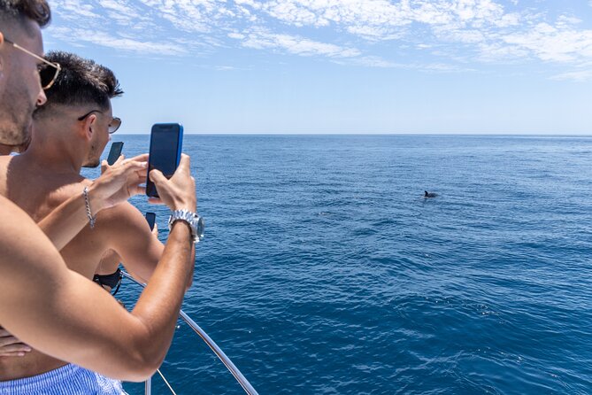 Private Coastline and Dolphins Yacht Cruise from Albufeira - Leaving Marina de Albufeira on a private boat