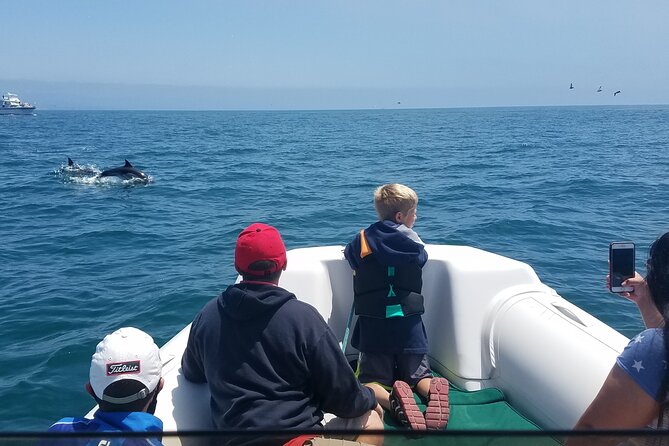 Private Dolphin and Whale Watching Tour in Newport Beach - Quick take: what makes this trip special