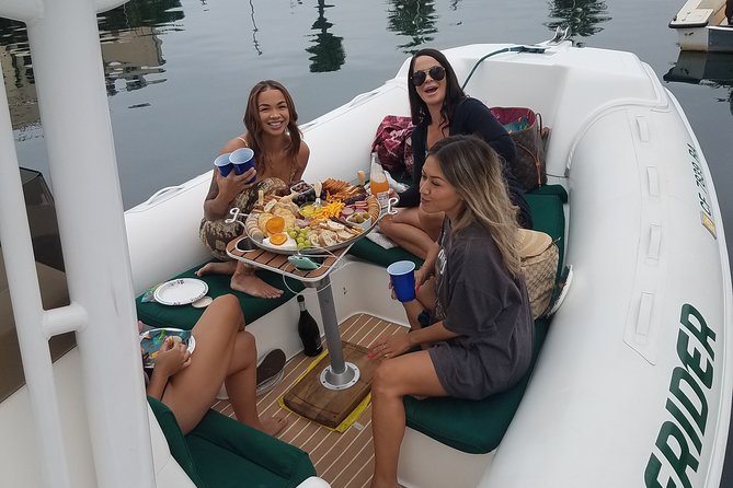 Private Dolphin and Whale Watching Tour in Newport Beach - Dolphins are the main attraction