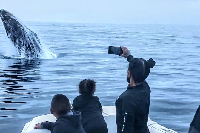 Private Dolphin and Whale Watching Tour in Newport Beach - Captain Dustin’s guiding style