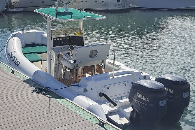 Private Dolphin and Whale Watching Tour in Newport Beach - Is $425 a good value for six people?