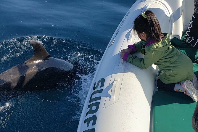 Private Dolphin and Whale Watching Tour in Newport Beach - Who will enjoy this Newport Beach boat tour?