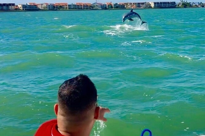 Private Dolphin & Architecture Tour in St. Petersburg, Fl - Why the private format can be worth $350