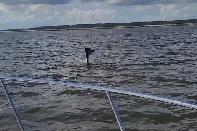 Private Dolphin Boat Tour in Hilton Head Island - Setting out from Cross Island Boat Landing