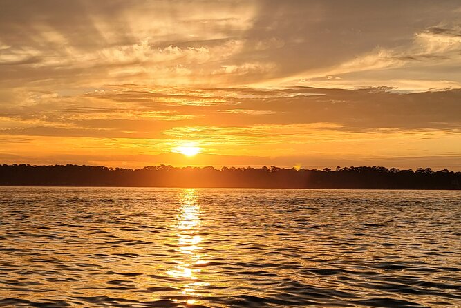 Private Dolphin Boat Tour in Hilton Head Island - Calibougie Sound and the bird search