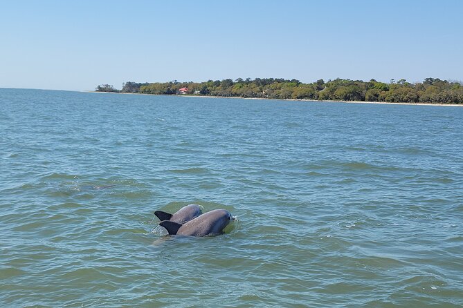 Private Dolphin Boat Tour in Hilton Head Island - How long is the ride?
