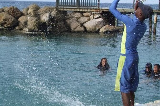 Private Dolphin Cove Adventure - Is $250 Per Person Good Value?
