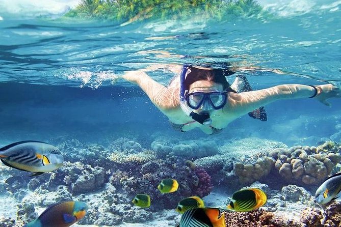 Private Dolphin House Boat Tour with Snorkeling & Lunch– Hurghada - Time on deck between the water stops