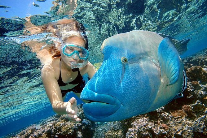 Private Dolphin House Boat Tour with Snorkeling & Lunch– Hurghada - What the $110 price really buys