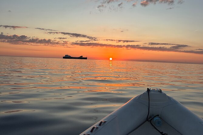 Private Dolphin Sighting Tour with Aperitif - What the private format is worth