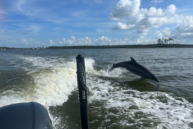 Private Dolphin Sightseeing Excursion - Setting out from Orange Beach on a six-person boat