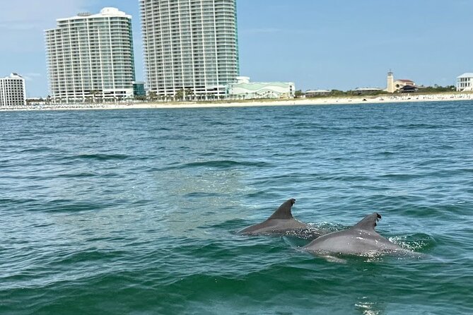Private Dolphin Sightseeing Excursion - A possible bay island stop for swimming and snorkeling