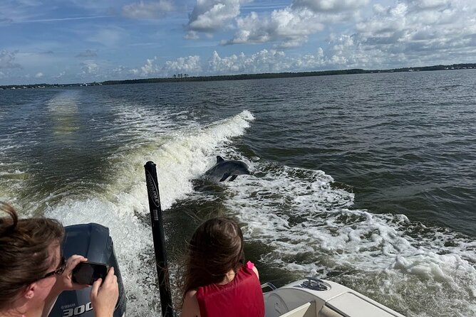 Private Dolphin Sightseeing Excursion - What makes the private format worth $190